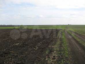 Участок 2 га (ИЖС)