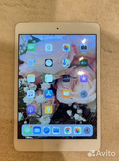 iPad mini 2 retina