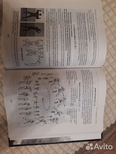 В. В. Момот От ниндзюцу к Нинпо