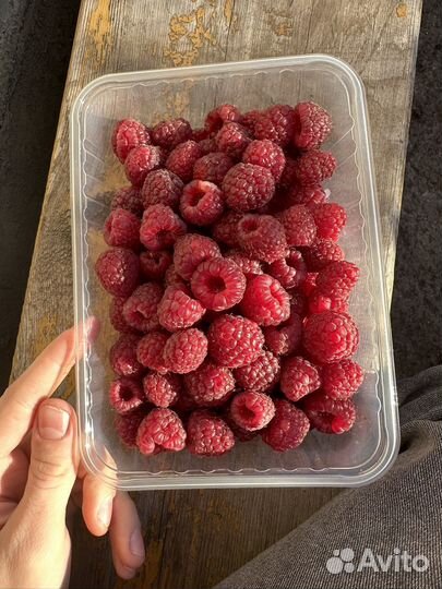 Малина свежая домашняя