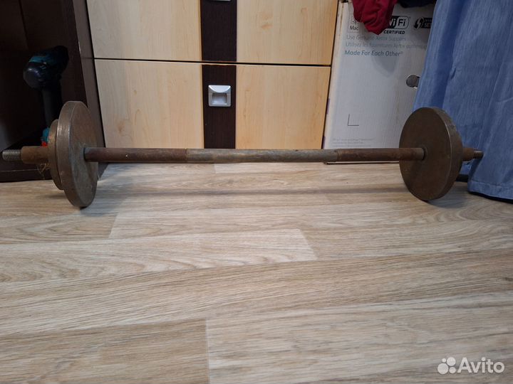 Штанга с блинами