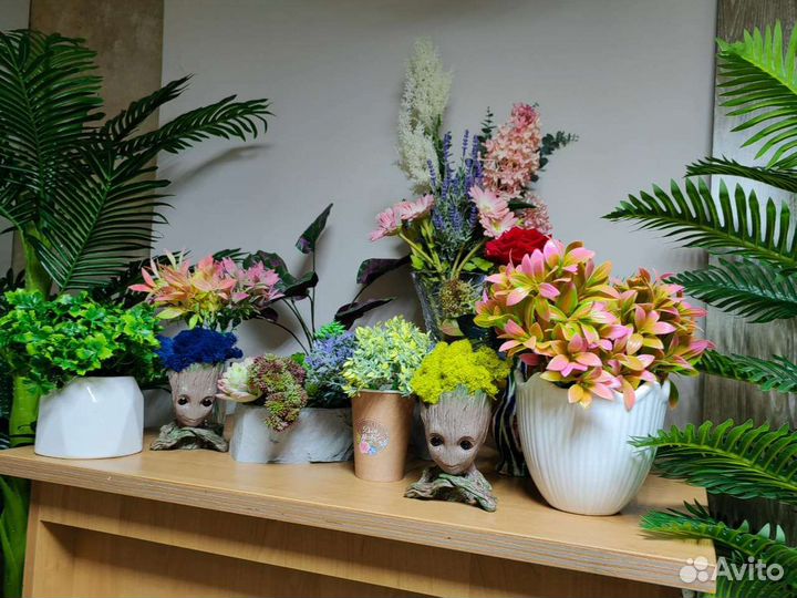 Растения, цветы, трава в кашпо. Декор, от