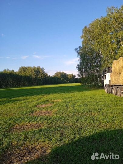 Сено в рулонах 2023