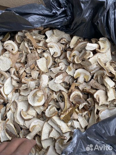 Грибы белые сушеные