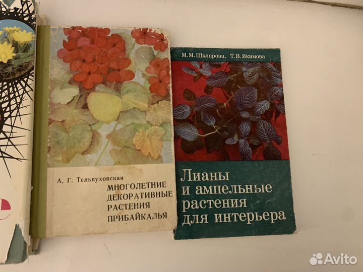 4 книги о цветах и растениях