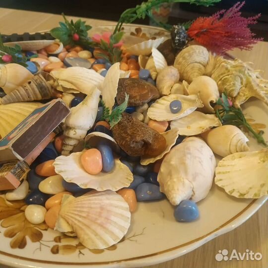 Ракушки камни растения грунт для аквариума