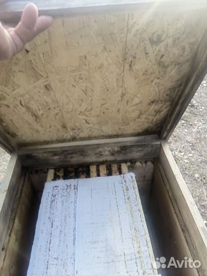 Улей для пчел