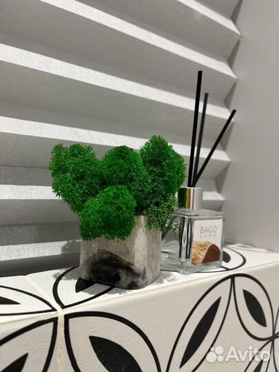 Подарок на день учителя на свадьбу Кашпо с мхом