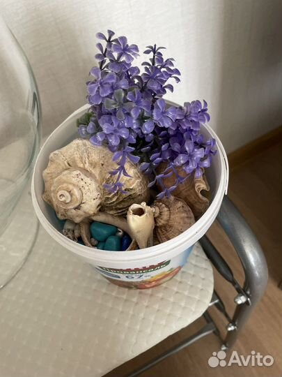 Аквариум бокал