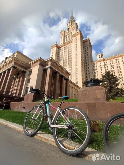 Cube Acces 29'' / Рама 17'' (2017)