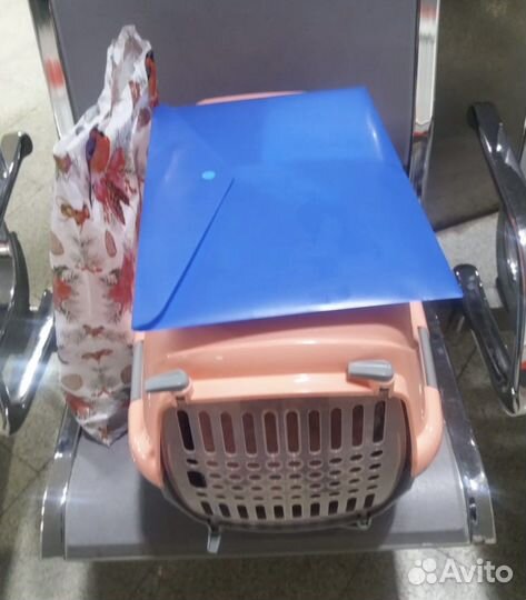 Доставка животных по всем городам РФ