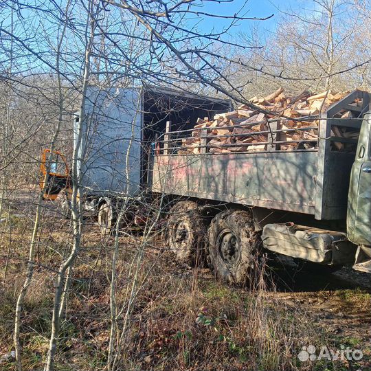Дрова колотые