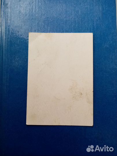 Фотография