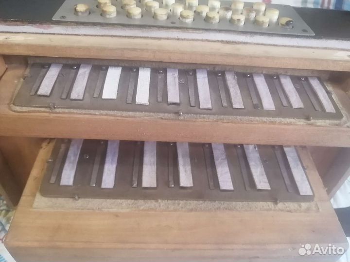 Гармонь любительская