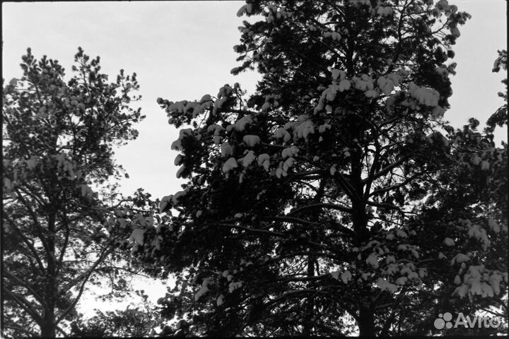 Canon FD 100-200 5.6 S.C