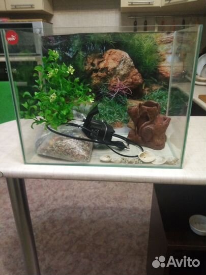 Аквариум