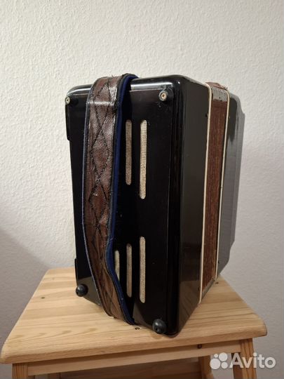 Гармонь Чайка