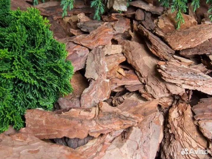 Мульча сосновая кора