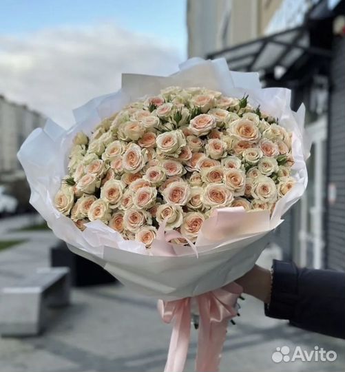 Роза кустовая