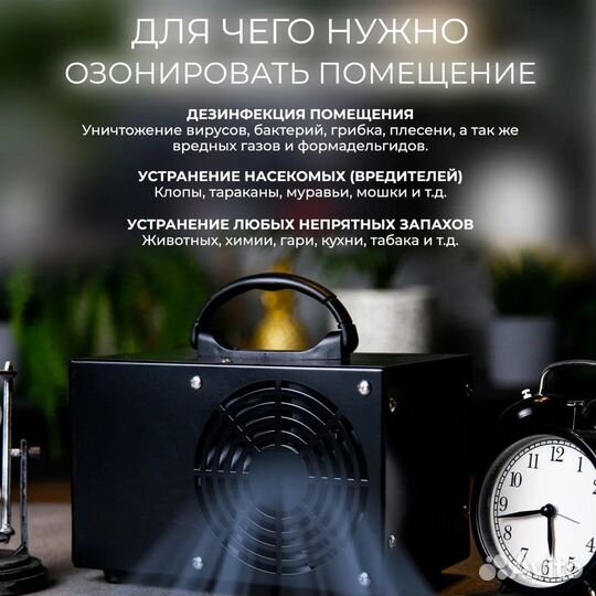 Озонатор 60 грамм в Аренду