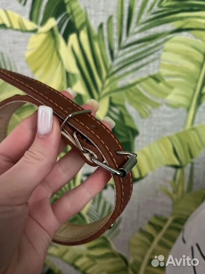 Новый Ошейник для средних собак