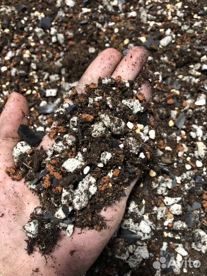 Грунт для Суккулентов, Алоказий, Марант, и других