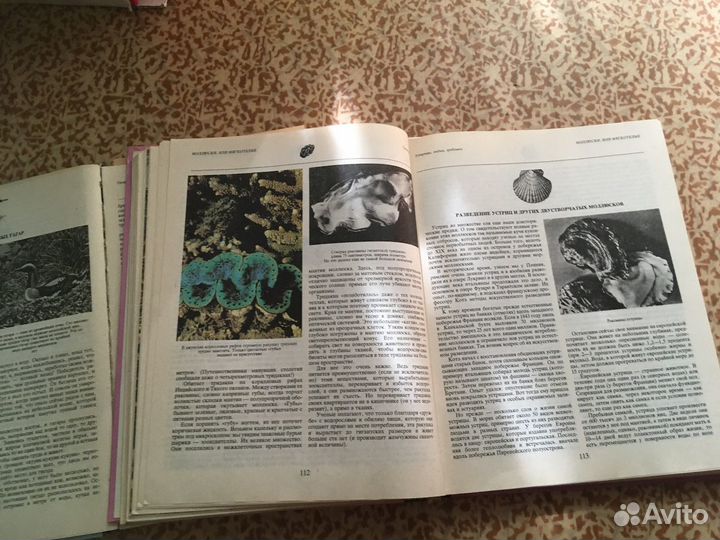 Мир животных И. Акимушкин