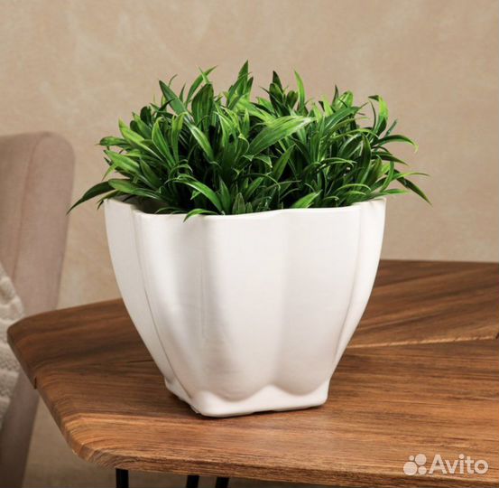 Горшок керамический, кашпо 2,4л