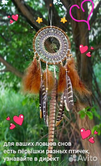 Перо фазана