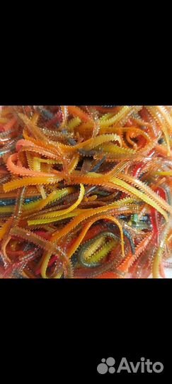 Морской червяк