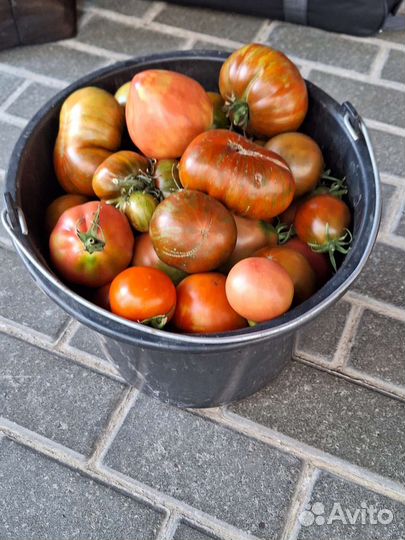 Помидоры свежие домашние