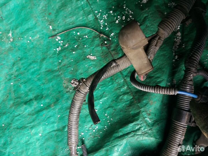 Проводка Тойота королла Toyota Corolla 08 г