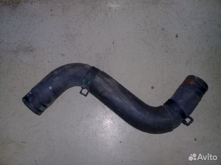 Патрубок охлаждения (радиатора) 215012Y000верхний