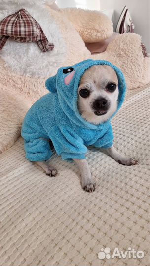 Вязаная кофта для собаки мелких пород