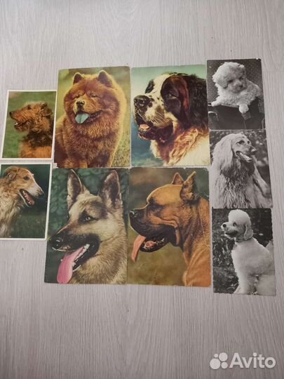 Открытки ГДР, 21х15 см