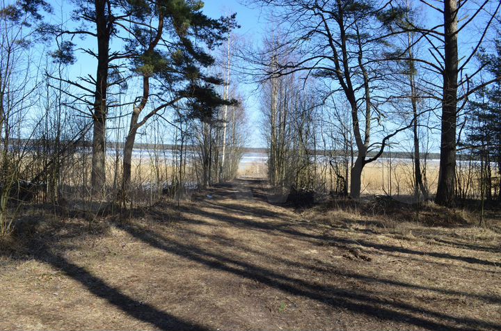 Участок 50 сот. (ИЖС)