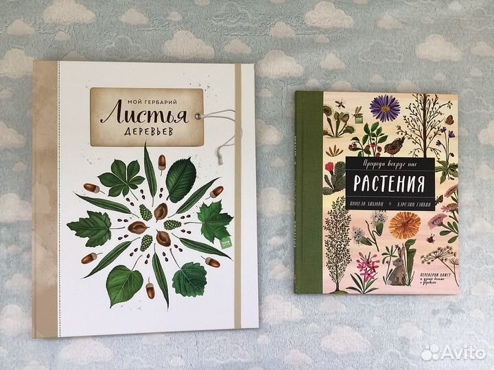 Новые детские книги о природе