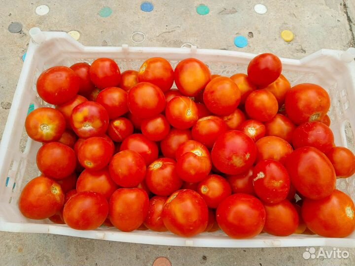 Яблоки, помидоры с дачи