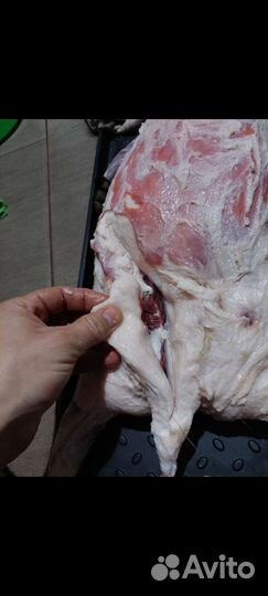 Натуральный Барсучий жир