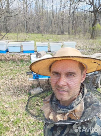 Мёд цветочный мед