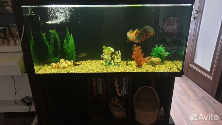 Аквариум с тумбой 300 литров