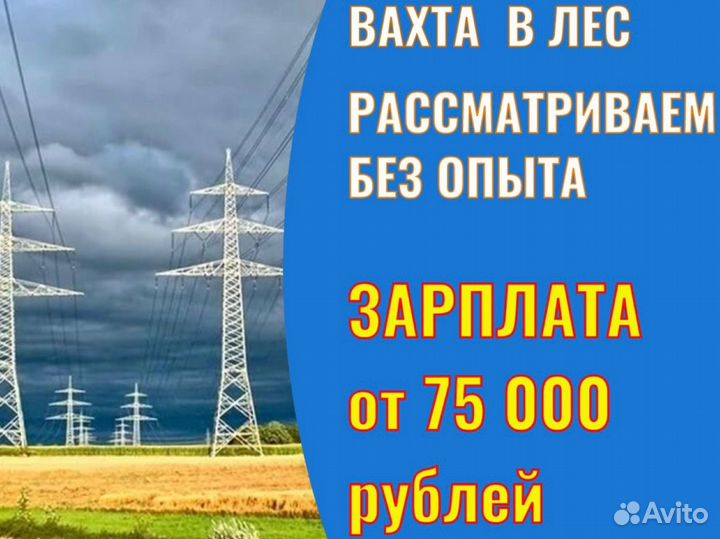 Разнорабочий расчистки лэп(линии электропередач)