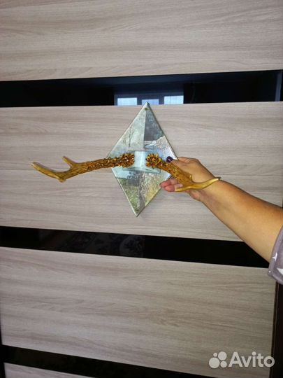 Рога косули