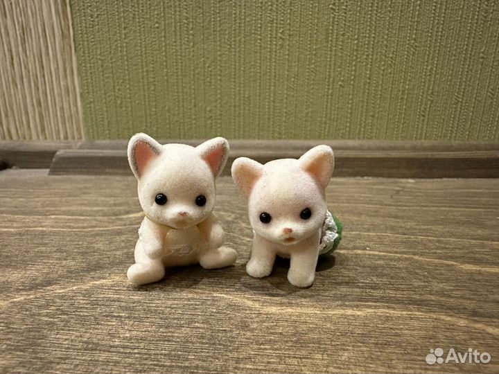 Sylvanian families малыши чихуахуа