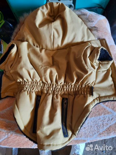 Одежда для собак мелких пород