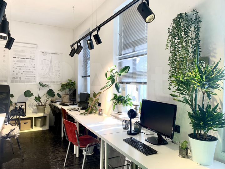 Офис, 24 м²
