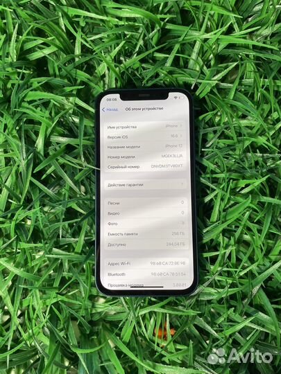 iPhone 12, 256 ГБ