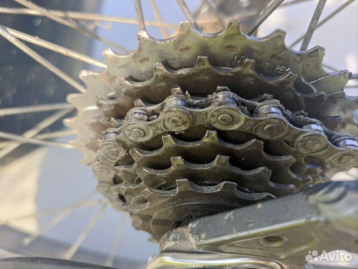 Corratec x-vert Baco C