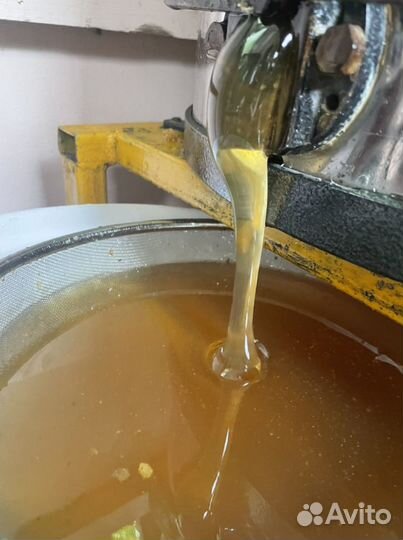 Мёд с личной пасеки 2023года