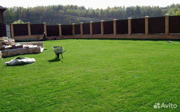 Рулонный газон /продажа/укладка